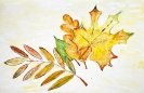 Ветка с листями
