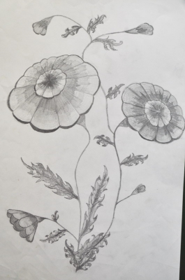 Рисование цветов